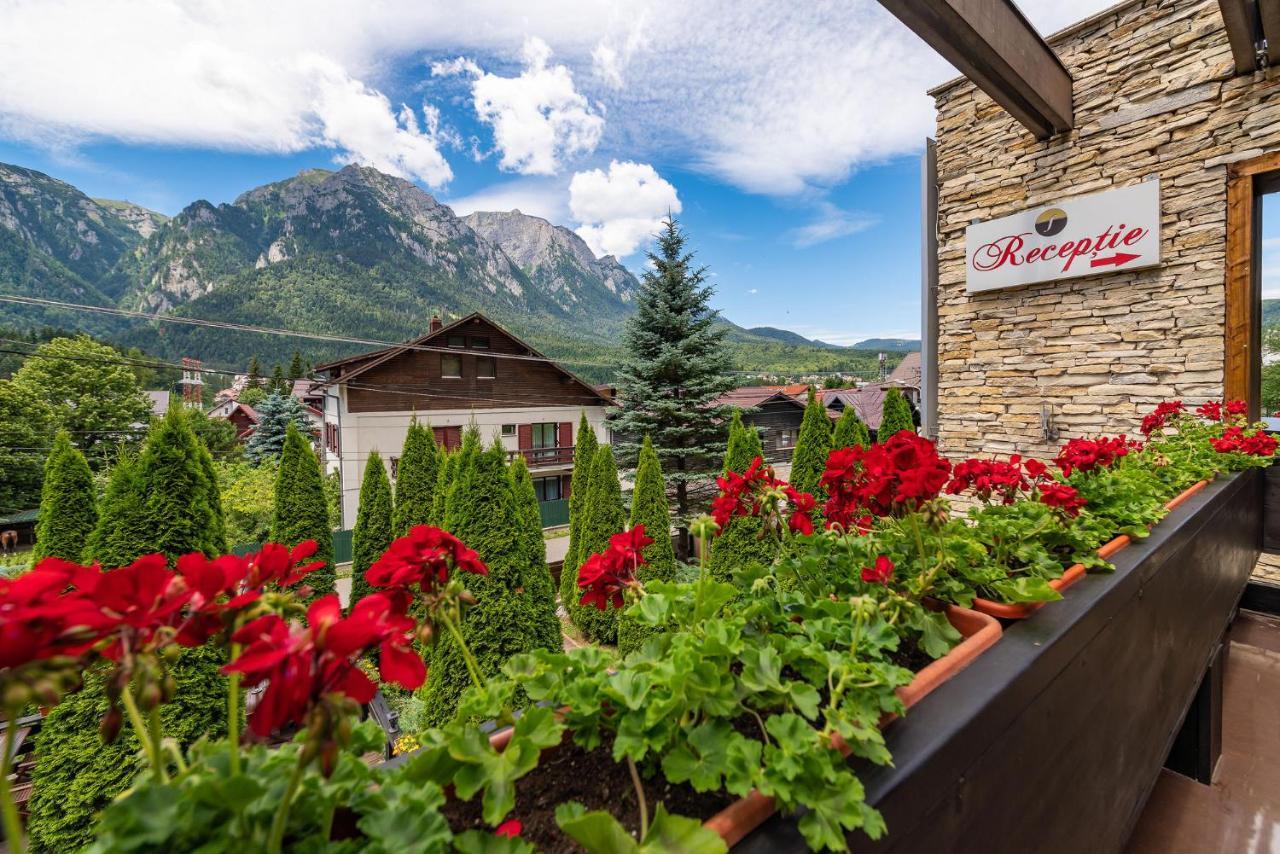 Casa Freya Hotel Buşteni Exterior foto